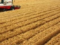 湖北提出“一芯驅動、兩帶支撐、三區(qū)協(xié)同”的區(qū)域和產(chǎn)業(yè)規(guī)劃布局