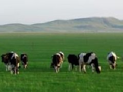 海南政府科研企業(yè)聯(lián)手，產(chǎn)業(yè)規(guī)劃目標(biāo)2035年產(chǎn)果量26億個