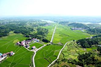臨湘綠色產業(yè)成最亮增長極