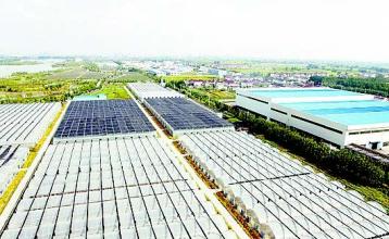 國務院發(fā)文推進農村一二三產業(yè)融合發(fā)展 鼓勵社會資本投入