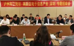 江陽區(qū)、瀘州國家高新區(qū)在深圳開展專題招商