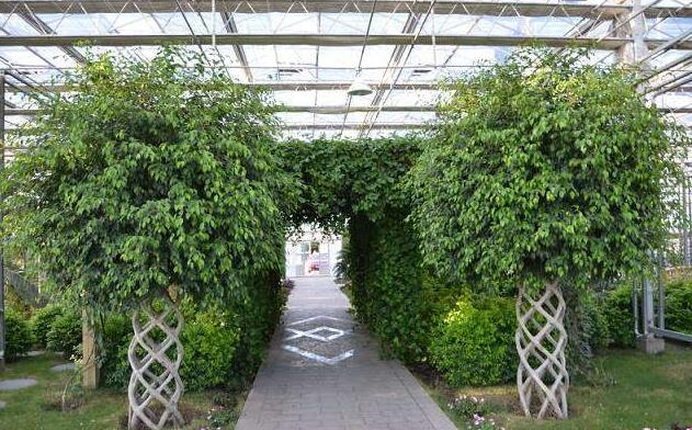 新疆昌吉國家農業(yè)科技園創(chuàng)建國家農業(yè)高新區(qū)