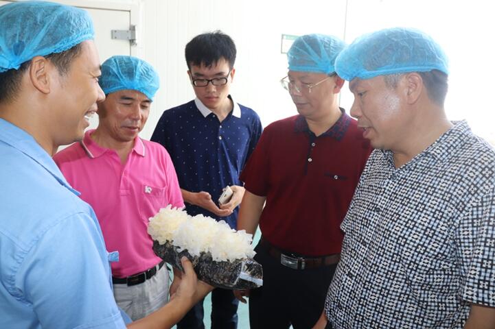 “湘軍故里，鋼鐵新城”我院助力婁底市開啟創(chuàng)新發(fā)展新篇章