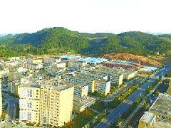 中山：加快建設東升脆肉鯇、橫欄花木省級現(xiàn)代農(nóng)業(yè)產(chǎn)業(yè)園