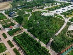 膠州、萊西獲選山東省省級(jí)現(xiàn)代農(nóng)業(yè)產(chǎn)業(yè)園建設(shè)主體