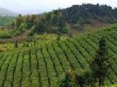 社科院報(bào)告：“十四五”規(guī)劃期間中國(guó)將跨過(guò)高收入國(guó)家門檻