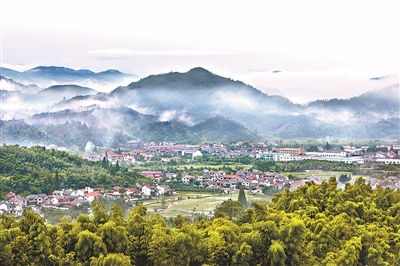 【經(jīng)濟(jì)實(shí)說·大家談】鄉(xiāng)村振興將力推城鄉(xiāng)平衡充分發(fā)展