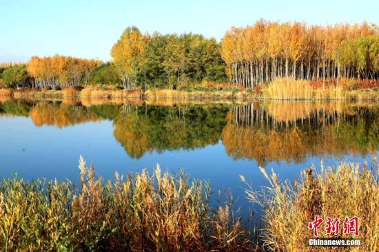 甘肅經(jīng)濟觸底求變：打好特色牌，多拿單打冠亞軍