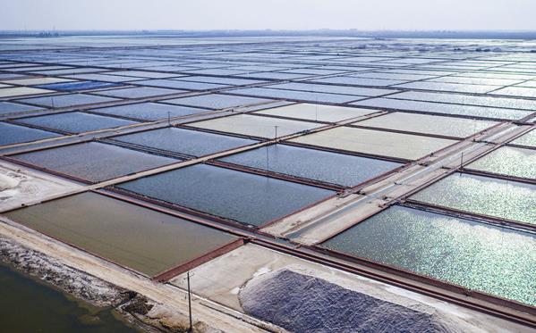 向海圖強 北海經(jīng)濟(jì)開發(fā)區(qū)挖掘經(jīng)略海洋＂藍(lán)色寶藏＂