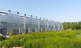 山東高青啟動國家農(nóng)業(yè)科技園區(qū)申報(bào)工作