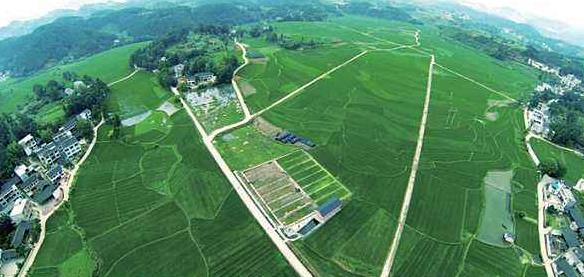 大健康事業(yè)是國(guó)家趨勢(shì)，現(xiàn)今走在前面的人，將是未來的主角！