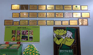 “芒果百色，香飄百地” 國內(nèi)首家芒果精深加工特色產(chǎn)業(yè)基地申報(bào)進(jìn)行時(shí)