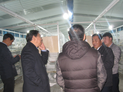 太行山革命老區(qū)，阜平縣鄉(xiāng)村振興正當(dāng)時(shí)