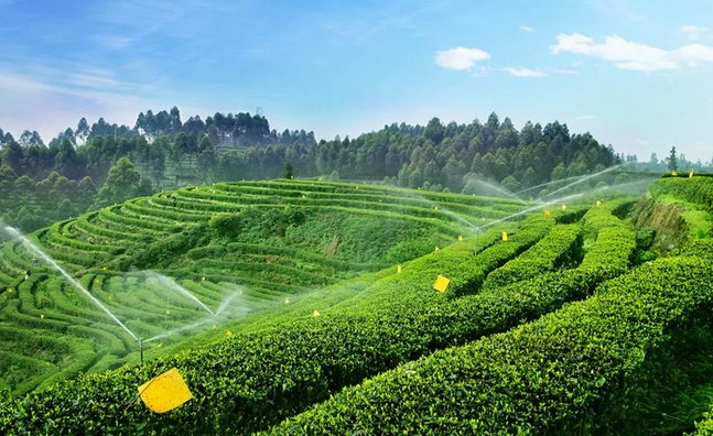 2019年國家先給錢后建設(shè)的4類農(nóng)業(yè)產(chǎn)業(yè)項目，最多補貼1個億