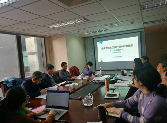 問(wèn)診專家，繪制龍鄉(xiāng)銅梁鄉(xiāng)村振興新藍(lán)圖