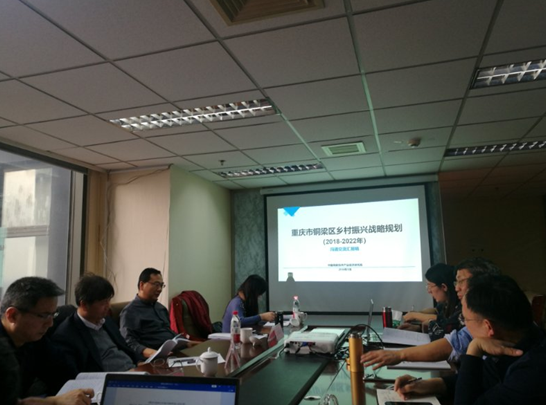 問(wèn)診專家，繪制龍鄉(xiāng)銅梁鄉(xiāng)村振興新藍(lán)圖