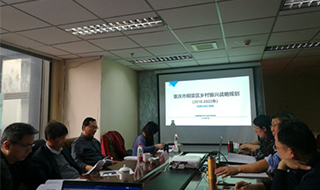 問診專家，繪制龍鄉(xiāng)銅梁鄉(xiāng)村振興新藍(lán)圖