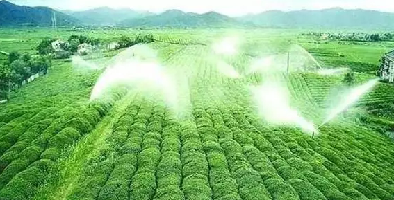 重磅！2019中央一號(hào)文件即將發(fā)布！大農(nóng)業(yè)領(lǐng)域迎來新機(jī)遇