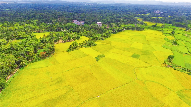 美國(guó)大農(nóng)場(chǎng)、以色列滴灌、德國(guó)高科技……農(nóng)業(yè)大國(guó)哪家強(qiáng)？