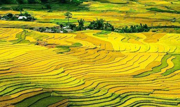 促進鄉(xiāng)村振興與縣域經濟高質量發(fā)展有效融合