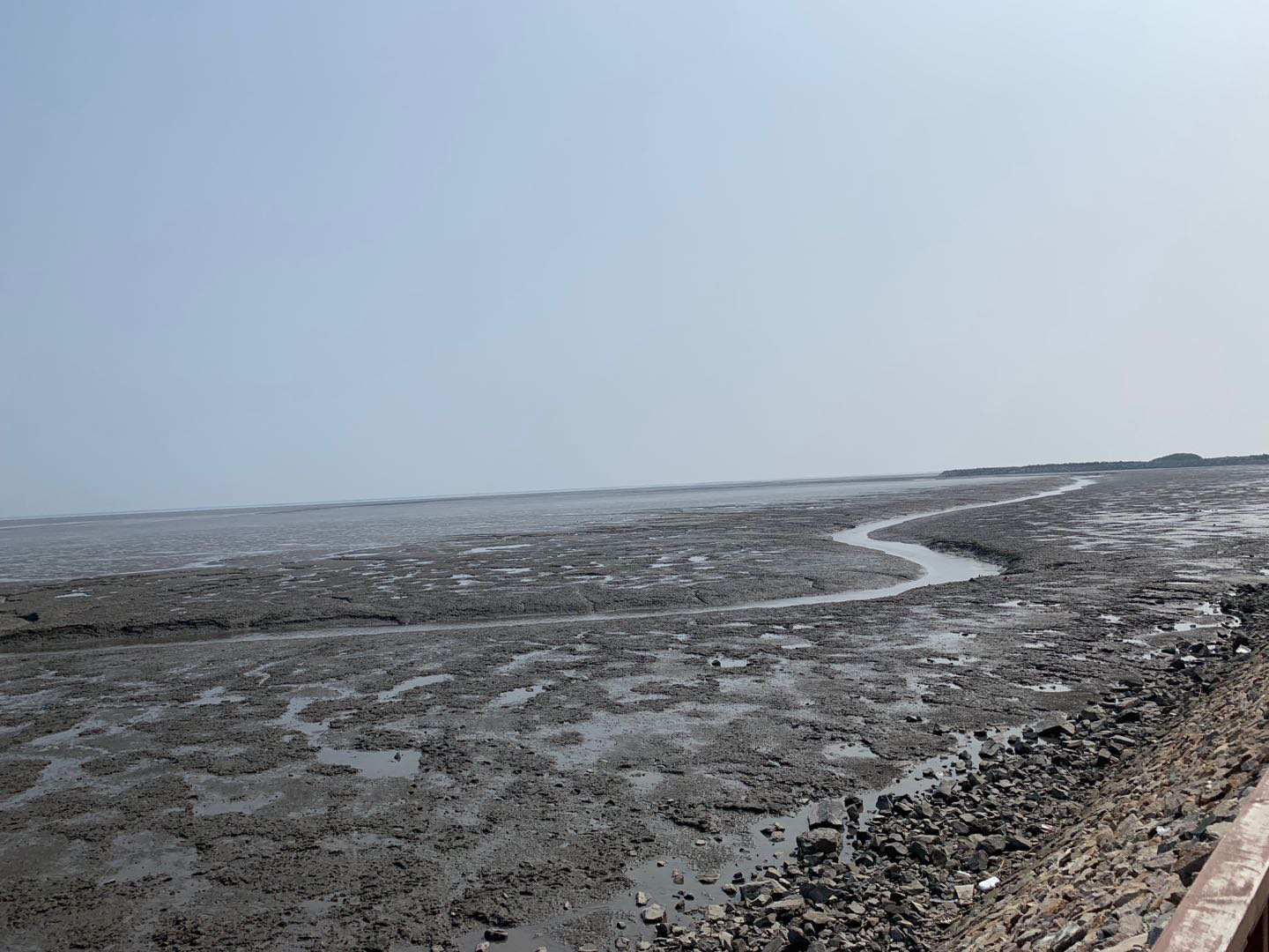 依托貝類優(yōu)勢(shì)，遼寧省東港市積極創(chuàng)建省級(jí)現(xiàn)代農(nóng)業(yè)產(chǎn)業(yè)園