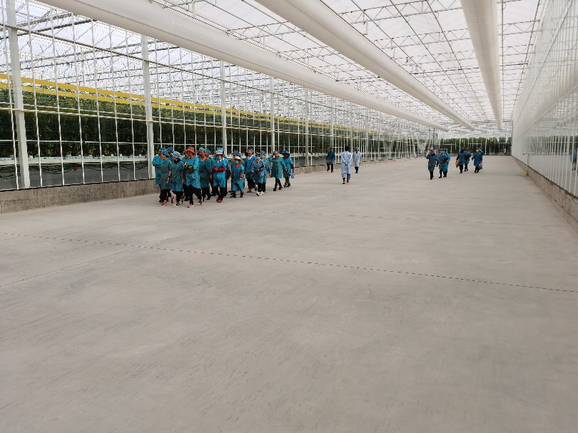 依托非耕地高效設(shè)施農(nóng)業(yè)，民樂縣著力打造特色戈壁農(nóng)業(yè)國(guó)家現(xiàn)代農(nóng)業(yè)產(chǎn)業(yè)園