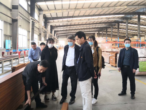 竹青筍香“桃花江”，現(xiàn)代農(nóng)業(yè)吐芬芳