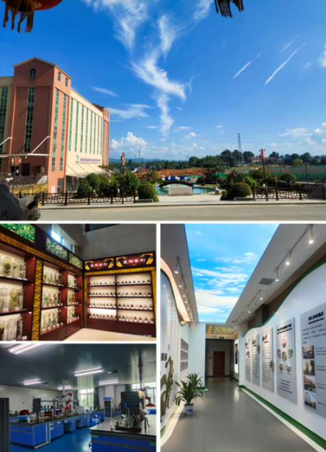 創(chuàng)建省級高新區(qū)，鶴城工業(yè)集中區(qū)邁入高質(zhì)量發(fā)展快車道