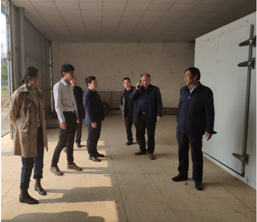 黃花菜里定乾坤，祁東縣全力爭(zhēng)創(chuàng)國家現(xiàn)代農(nóng)業(yè)產(chǎn)業(yè)園