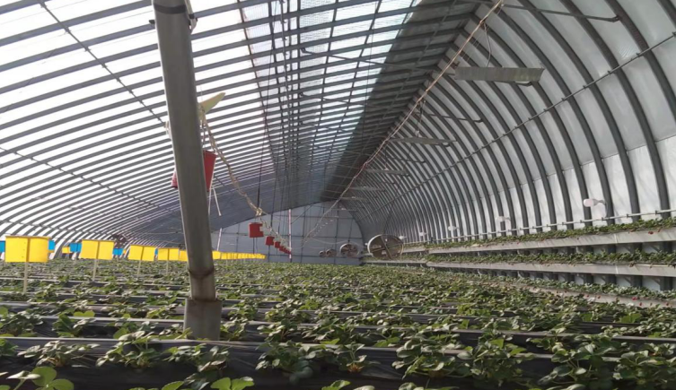 走特色高效農(nóng)業(yè)之路，晉中榆次區(qū)積極申報(bào)國(guó)家現(xiàn)代農(nóng)業(yè)產(chǎn)業(yè)園