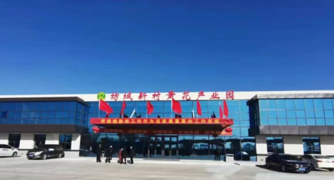 大同黃花，忘憂云州——云州區(qū)積極申創(chuàng)國家農(nóng)業(yè)現(xiàn)代化示范區(qū)