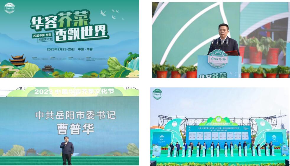 華容芥菜香飄四海，創(chuàng)建國家現(xiàn)代農業(yè)產業(yè)園恰逢其時