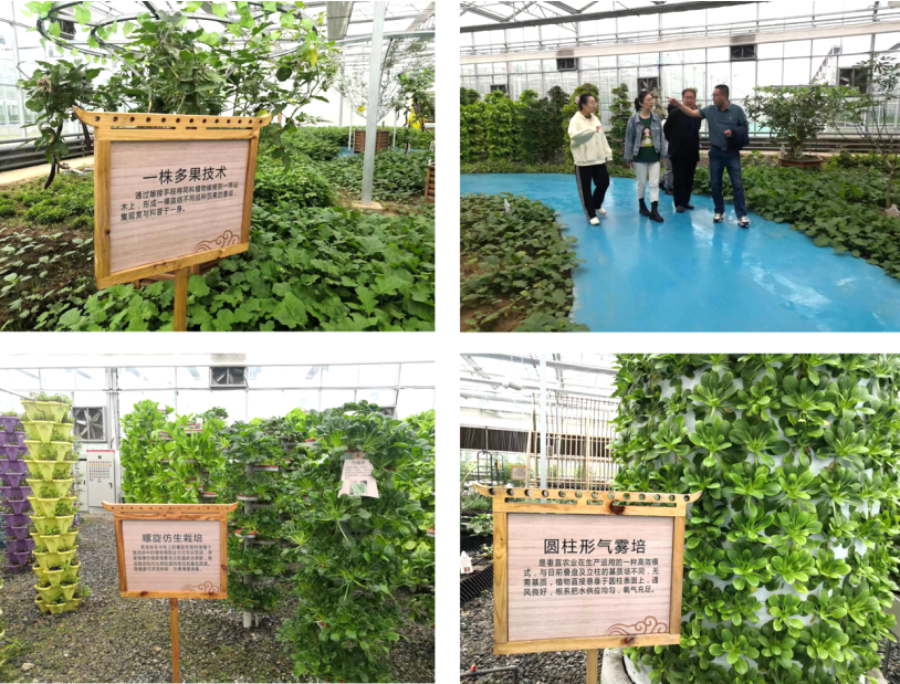 晉之源果蔬再啟航，曲沃開啟國家農業(yè)現代化示范區(qū)新征程