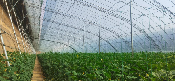 我院助力山西省曲沃縣創(chuàng)建國家現(xiàn)代農(nóng)業(yè)產(chǎn)業(yè)園